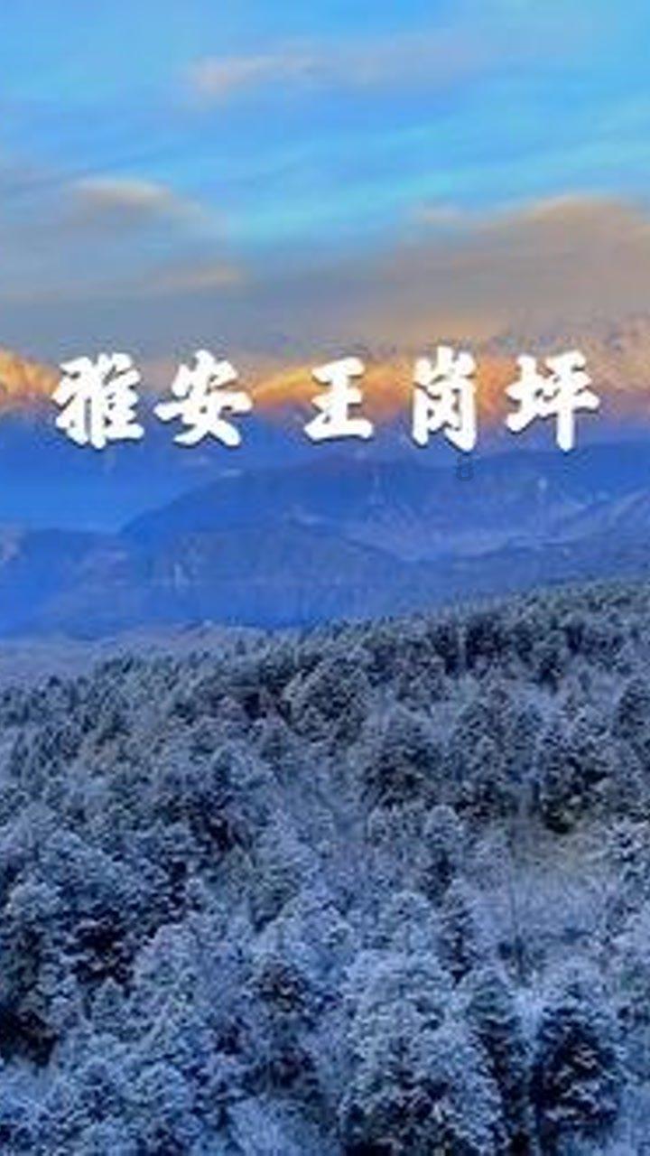 旬阳农商银行发展“农担”业务“贷”动乡村振兴